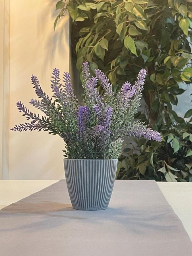 Apartamento Banferra Jerez de la Frontera Exteriör bild